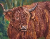 Highland Cow Giclee Print: 'The Highlander' Fine Art by Janet Bird