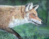 Fox Giclee Print: 'On the Hunt' Fine Art by Janet Bird