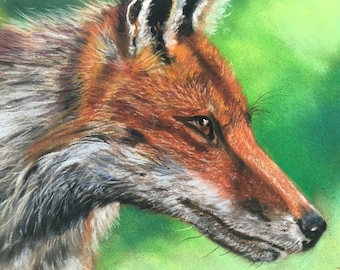 Top quality giclee print of 'Intent' a fox painting by artist Janet Bird