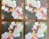 Spring Blossom Coasters: Set of 4, Janet Bird Art