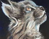 Upward Glance Cat Art: Signed Giclee Print by Janet Bird