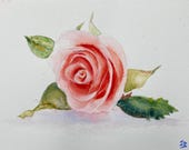 Delicate pink rose watercolour original