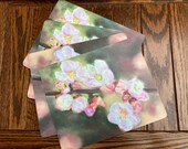 Blossom Painting Placemats: Set of Four Cork-Backed Hardboard Mats