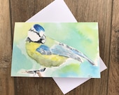 Watercolour blue tit greeting card by UK artist Janet Bird