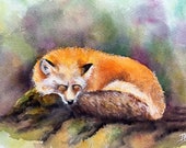 ORIGINAL sleepy fox painting by British artist