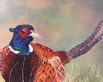 Top quality giclee print of 'Keeping Watch’ a pheasant painting by artist Janet Bird