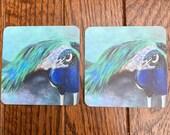 Peacock Coasters: Set of 2 by British artist