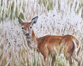 Giclee print of ‘In the Long Grass’