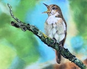 Top quality giclee print of 'Melody Maker' a nightingale painting by artist Janet Bird