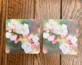 Spring Blossom Coasters: Janet Bird Art, Set of 2