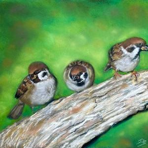 Top quality giclee print of 'Log Jam a sparrow painting by artist Janet Bird image 1