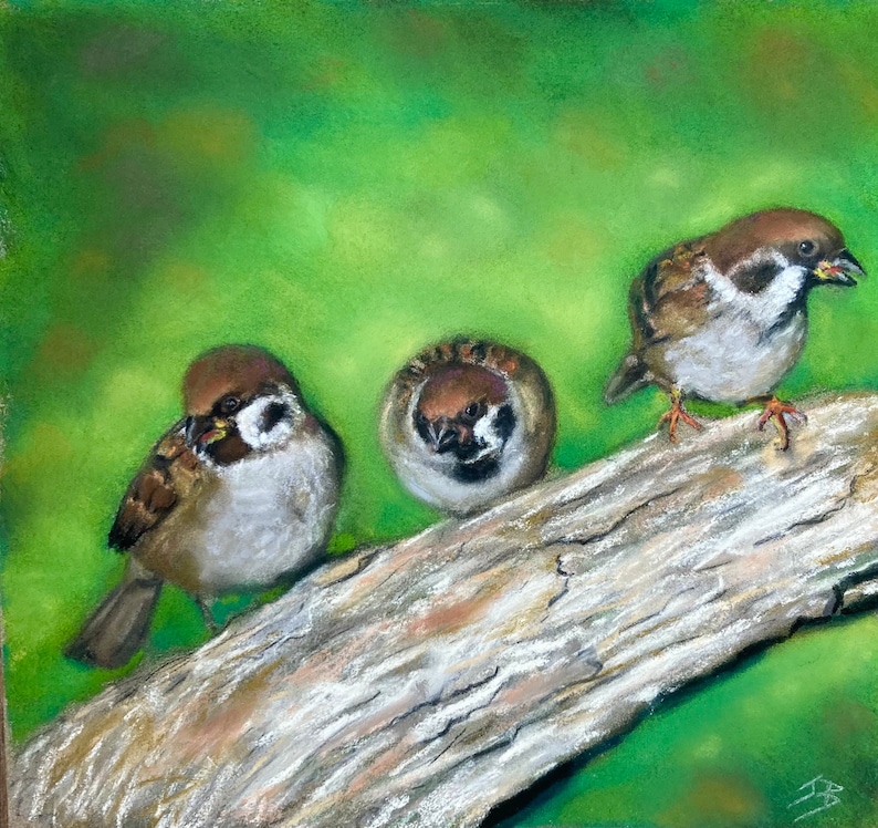 Top quality giclee print of 'Log Jam a sparrow painting by artist Janet Bird image 1