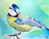 Giclee print of Blue Tit