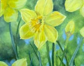 ORIGINAL daffodil painting by British artist