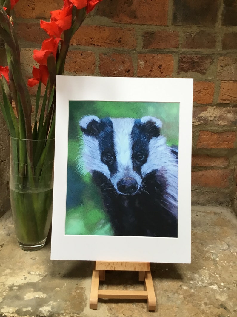 Top quality giclee print of 'Young Badger' a painting by artist Janet Bird image 2