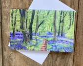 Bluebell woods greeting card by UK artist Janet Bird.