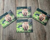 Highland Cow Placemats: Janet Bird Painting, Set of Four