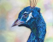 Peacock Art Print | Giclee Bird Painting by Janet Bird