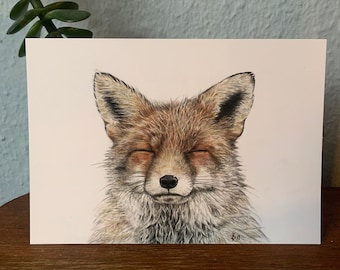 Postcard fox, illustration