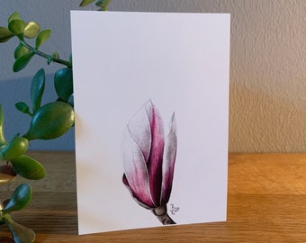 Magnolia de carte postale, illustration