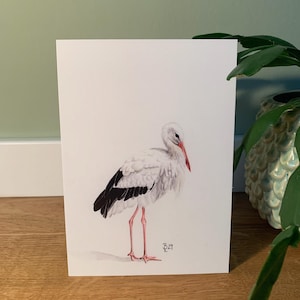 Cigüeña postal, ilustración