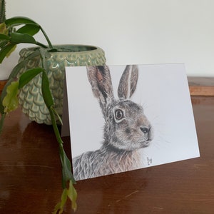 Carte pliante lapin, illustration
