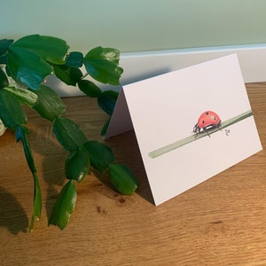 Carte pliante coccinelle, illustration