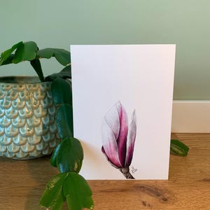 Carte postale Magnolia, illustration