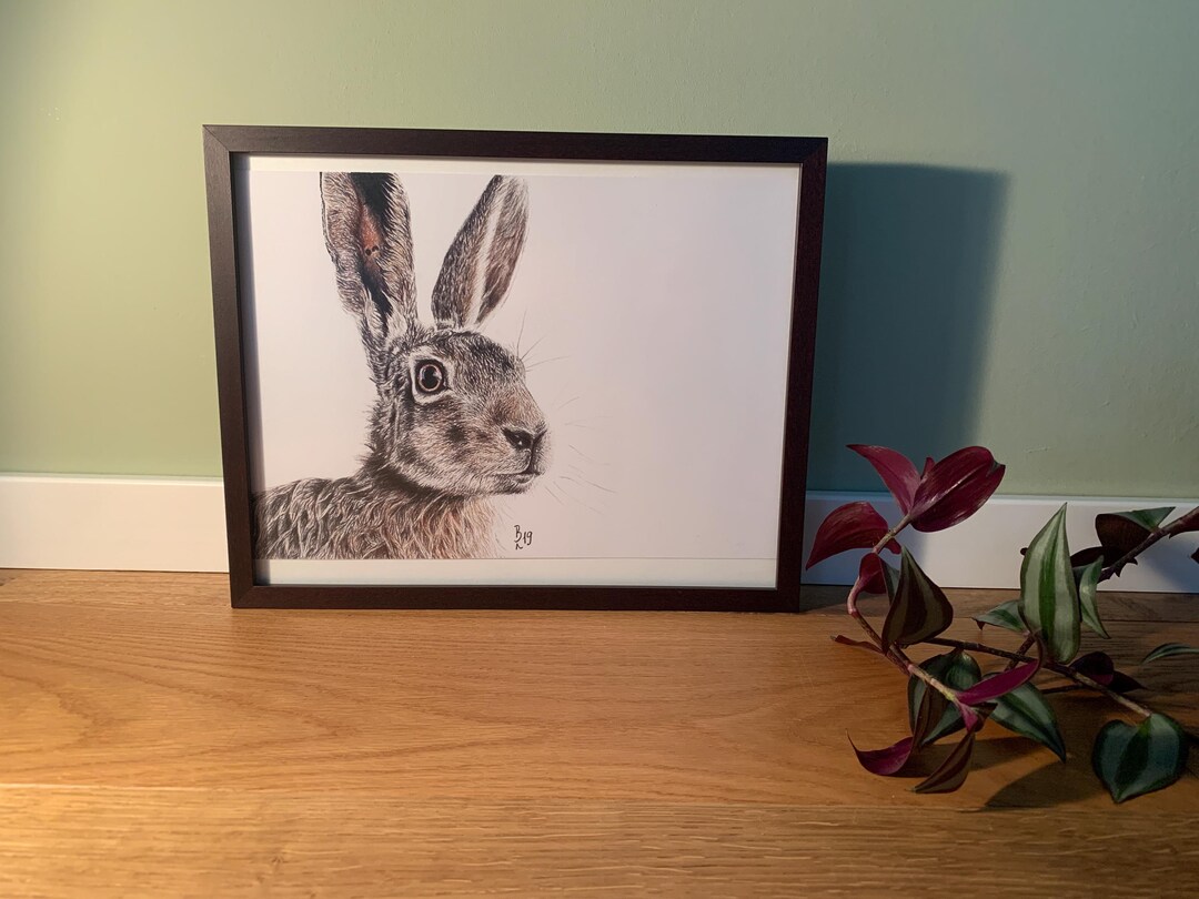 Art Print Illustration, Rabbit A4 - Etsy