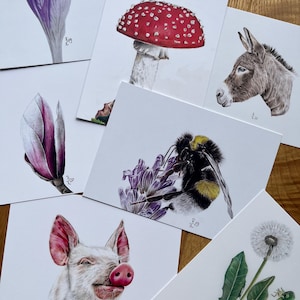 5 cartes de vœux/cartes postales dans un ensemble - choisissez vos motifs souhaités parmi plus de 30 options - moins cher que les cartes individuelles :)