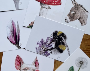 Può includere: Una collezione di stampe artistiche ad acquerello dettagliate raffiguranti un croco viola, un fungo rosso e bianco, un asino, una magnolia rosa e bianca, un calabrone sulla lavanda, un maiale e un dente di leone.