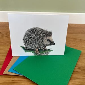 Carte pliante hérisson, illustration, avec enveloppe (quatre options de couleurs)