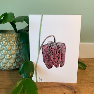Postkarte Schachbrettblume, Illustration