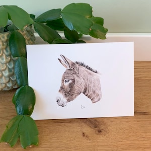 Postal de burro, ilustración