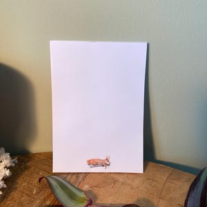 Notepad Illustration Squirrel, 50 sheets