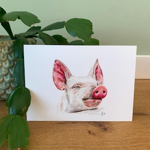 Cartão postal Porco da Sorte, Ilustração