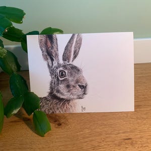 Carte postale lapin, illustration