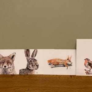 森の動物たちのポストカードセット（キツネ、リス、ウサギ、コマドリ）、A6判