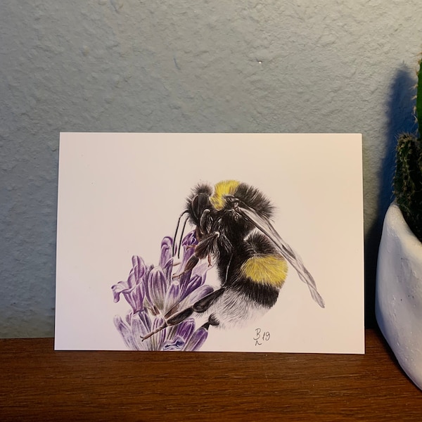 Postcard bumblebee, illustration