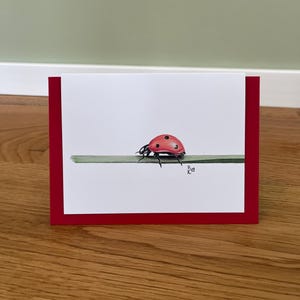 Biglietto pieghevole a forma di coccinella, illustrazione, con busta (quattro opzioni di colore)