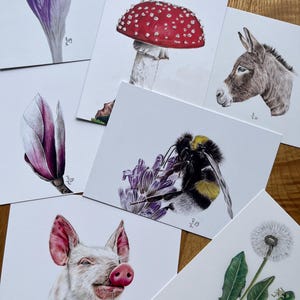 3 cartes de vœux/cartes postales dans un ensemble - choisissez vos motifs souhaités parmi plus de 30 options - moins cher que les cartes individuelles :)