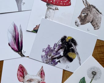 Può includere: Una collezione di stampe artistiche ad acquerello dettagliate raffiguranti un croco viola, un fungo rosso e bianco, un asino, una magnolia rosa e bianca, un calabrone sulla lavanda, un maiale e un dente di leone.