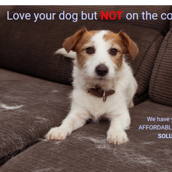 Keep Dog off Couch Etsy