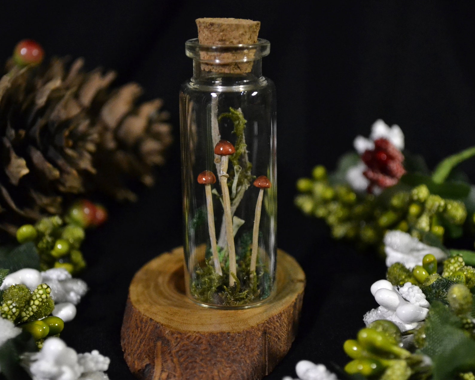 Brown mushrooms in a glass jar / Small mushrooms made of Etsy