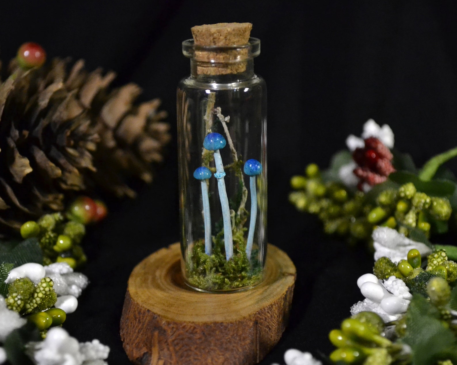 Mushrooms in jar Terrarium blue mushrooms Blue Mushrooms and Etsy