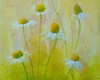 Camomile Field