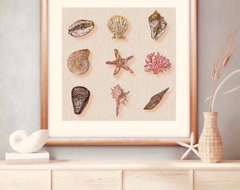 Single LARGE Fine Art Shells Canvas Paper Print (does not come matted/framed)