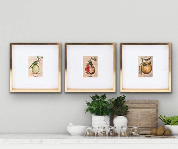Trio of Fine Art Fruit Canvas Paper Prints (unframed)
