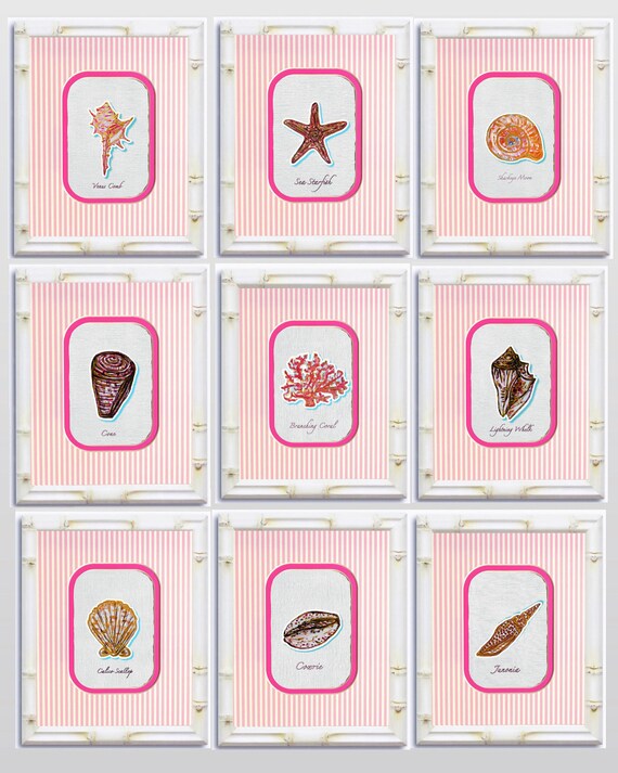 Set of Nine Coastal Shell Series Gallery Wall Prints Double Matted and Framed