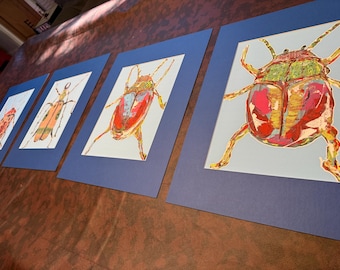 Beetle Art Prints - Royal Blue Matted Entomology Wall Art, Set of 4